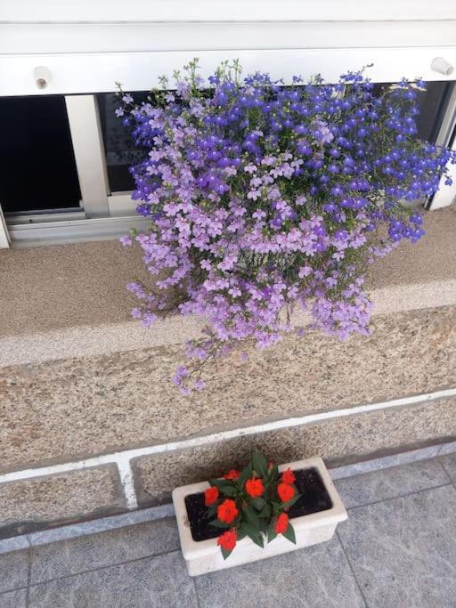 Apartamento En San Vicente De О-Грове Екстер'єр фото